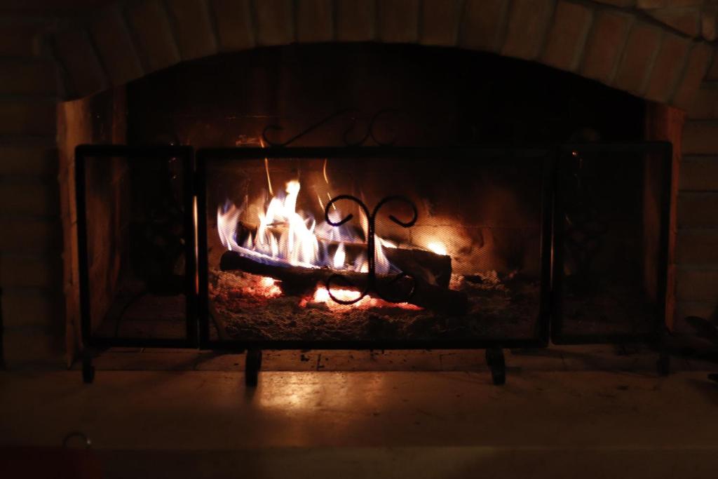 a brick oven with a fire in it at Lupus Domum in Pretoro