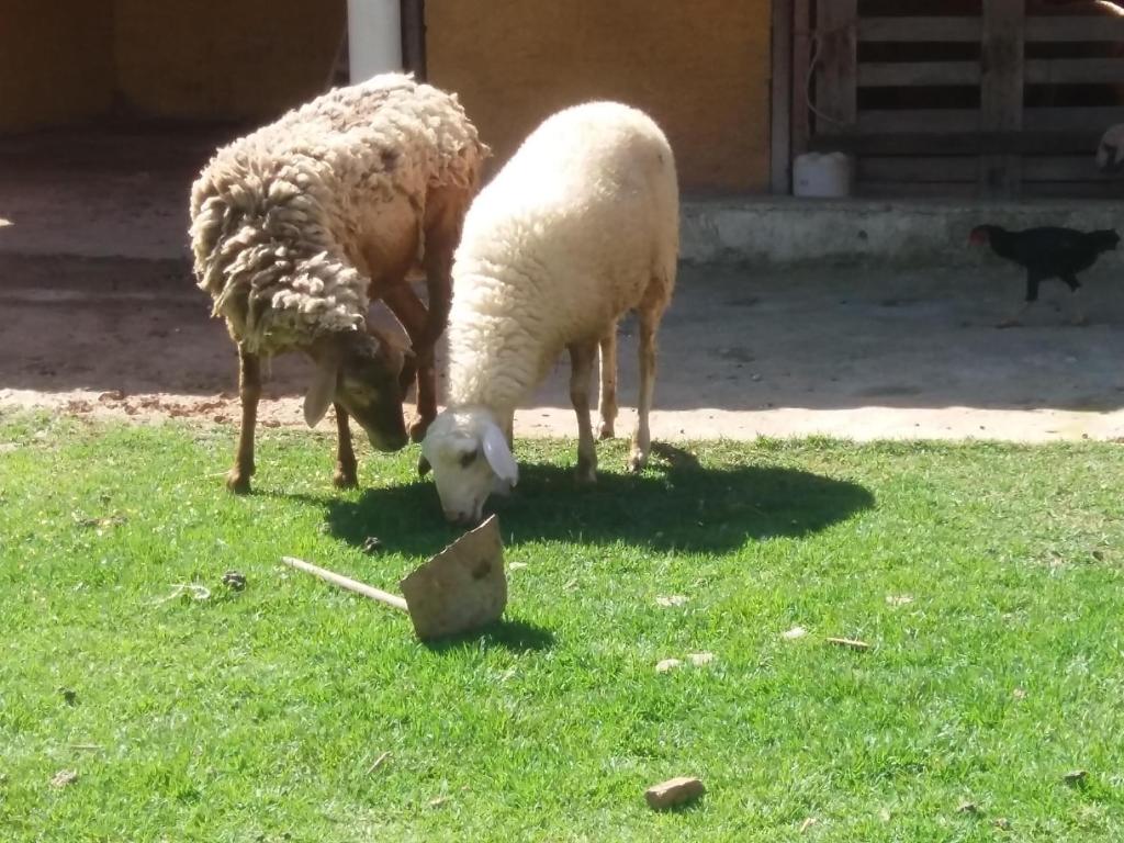  Molise Hotel Fazenda