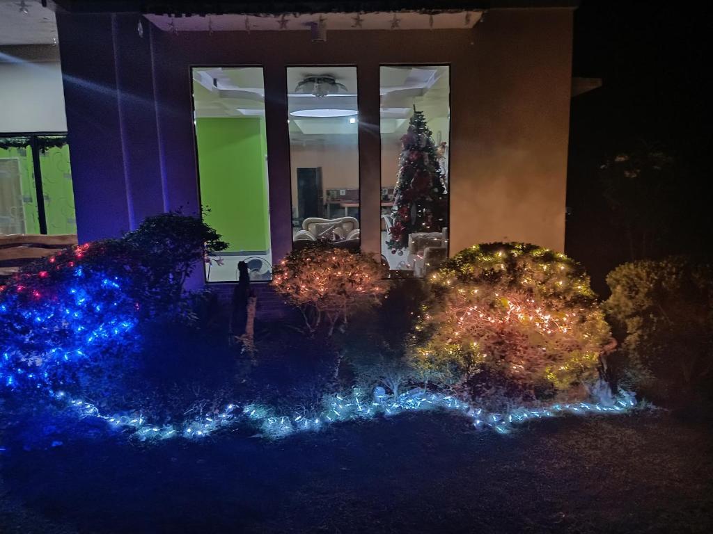 Zahrada ubytování James Homestay