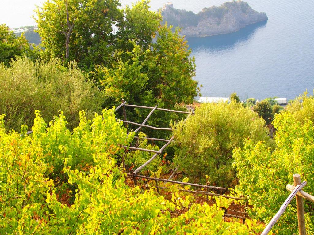 a view of a hill with trees and a body of water at GIARDINO SUL MARE in Amalfi