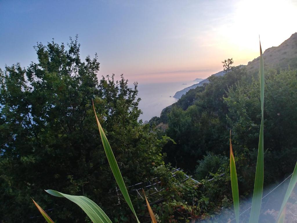 a view of a mountain with trees and the sunset at GIARDINO SUL MARE in Amalfi