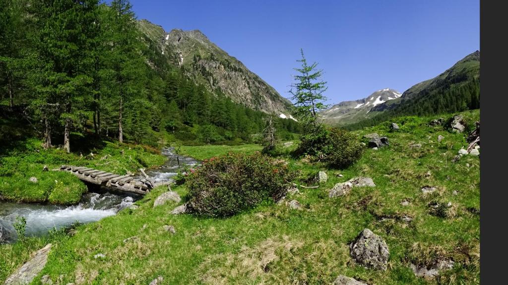 Příroda nedaleko apartmánu
