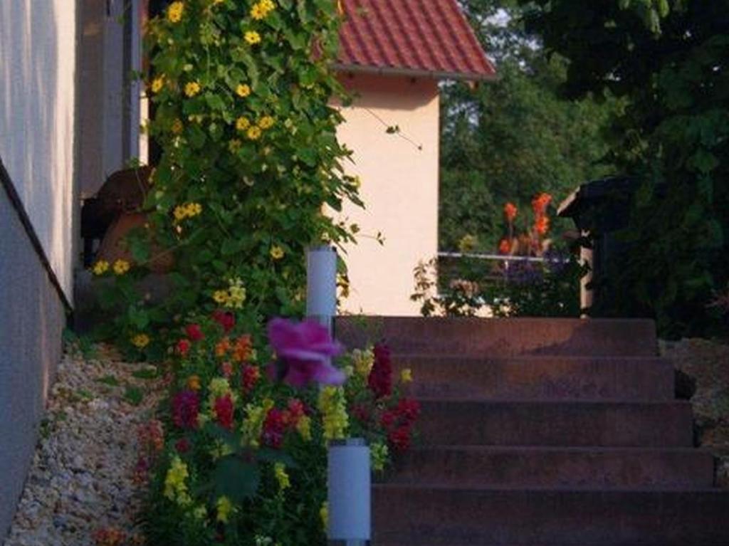 Zahrada ubytování Annettes Ferienstübchen