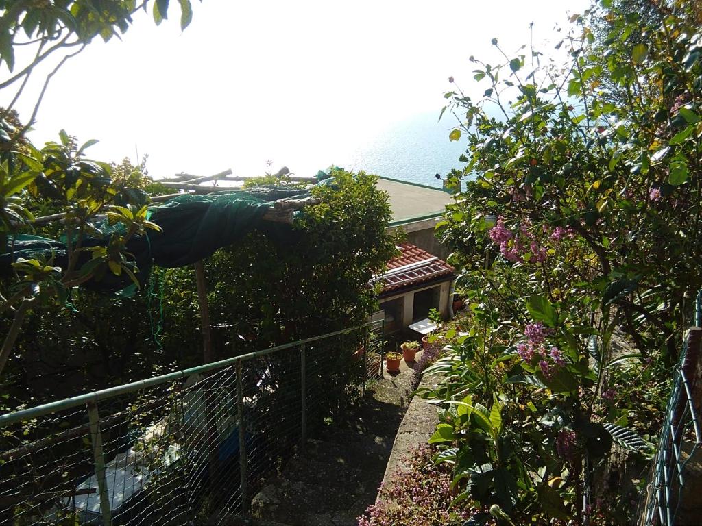 a garden with a fence and some plants at GIARDINO SUL MARE in Amalfi