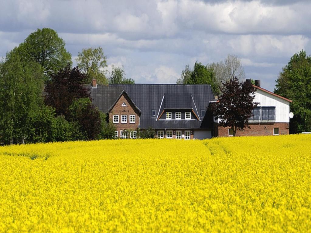 a house in the middle of a field of yellow rapeseed at Ferienhof Kragholm in Munkbrarup