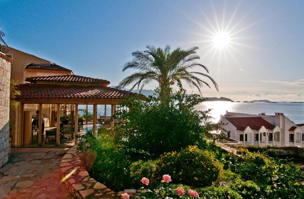 a house with a palm tree in front of the ocean at Lycia Hotel in Kaş