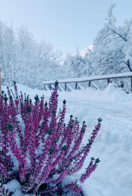 San Marco FARMHOUSE with a view. during the winter