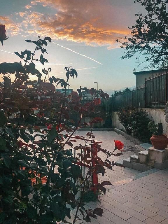 Fotografia z galérie ubytovania bed & breakfast LIPI v destinácii Pozzuoli