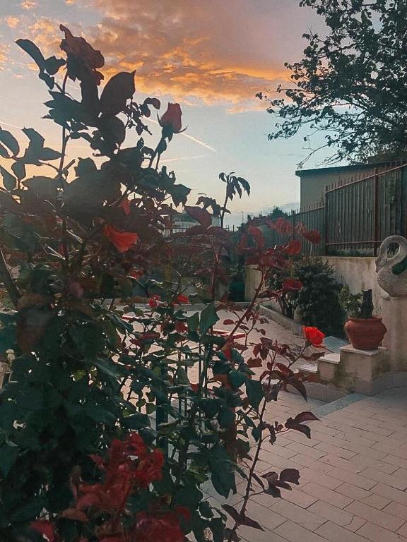 Fotografia z galérie ubytovania bed & breakfast LIPI v destinácii Pozzuoli
