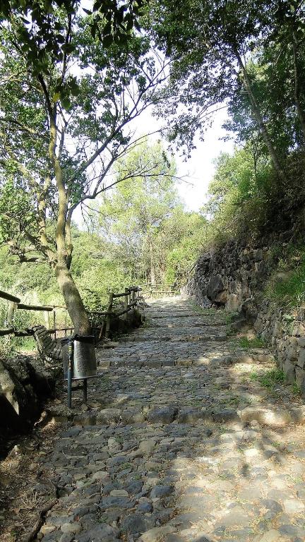 Paisaje cerca de este apartamento