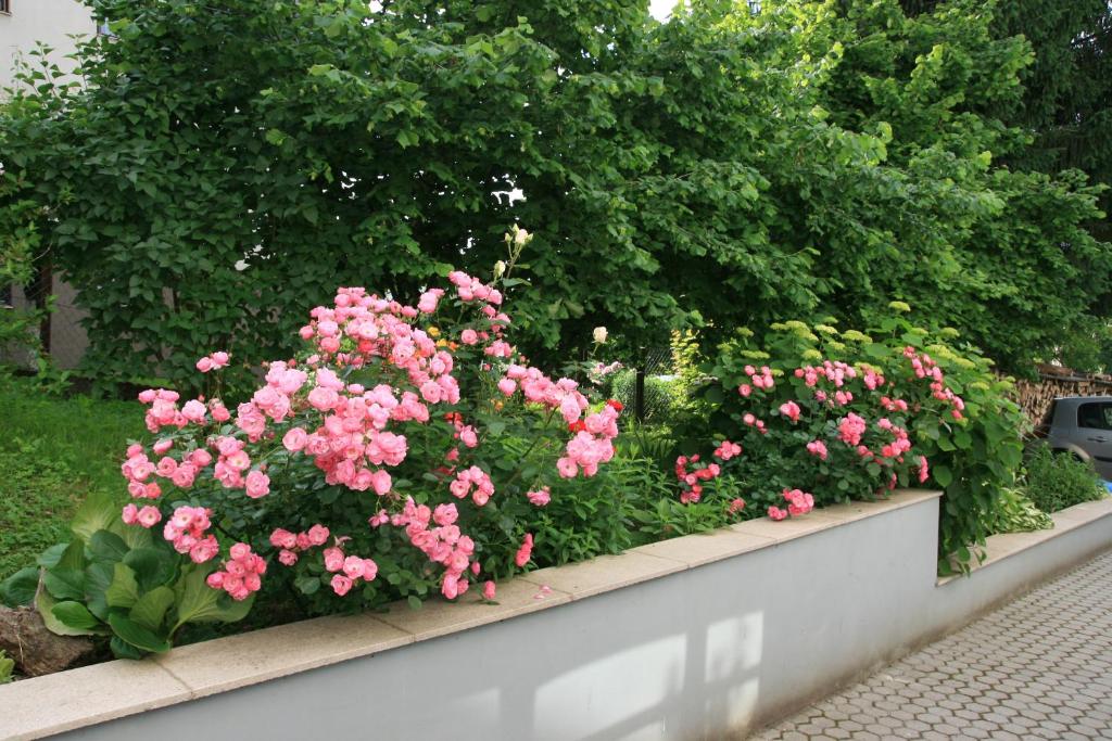 Vonkajšia záhrada v ubytovaní Apartment Magnolija - free parking