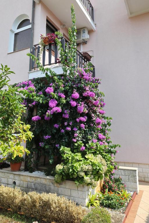 Apartman Sweet Mary