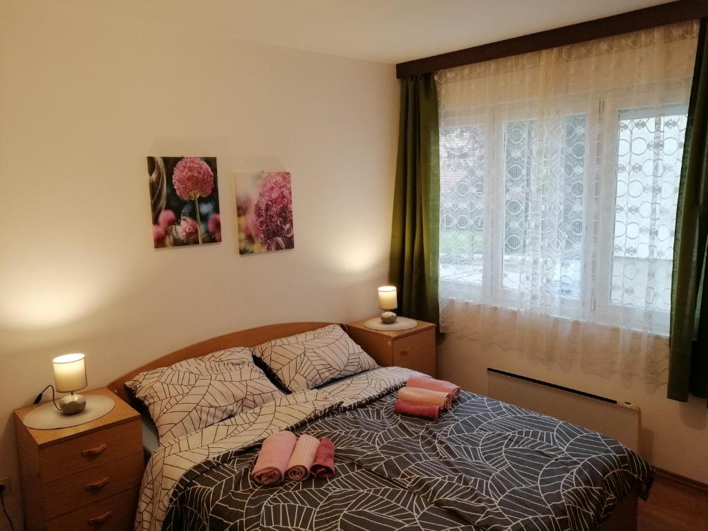 APARTMAN NENA - 4