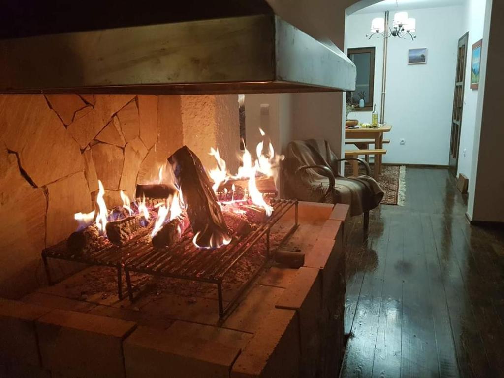Fotografie z fotogalerie ubytování Ljubičin Konak v destinaci Bajina Bašta