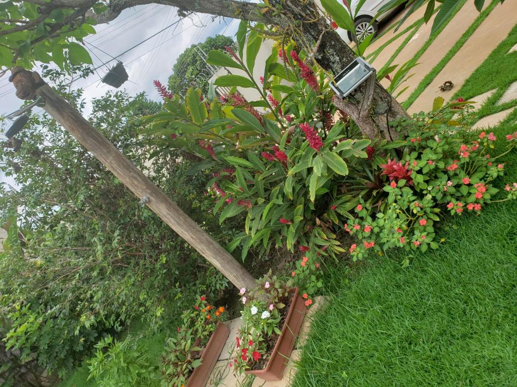  Pousada das Orquídeas