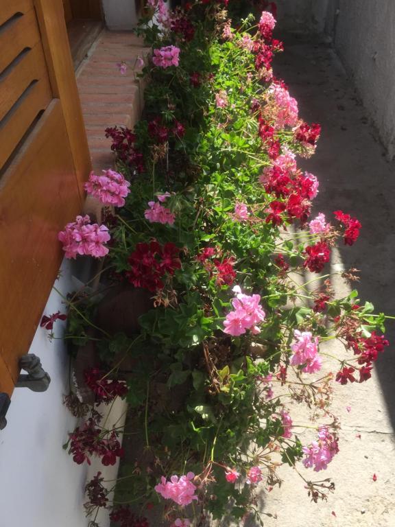  Casa Charmosa