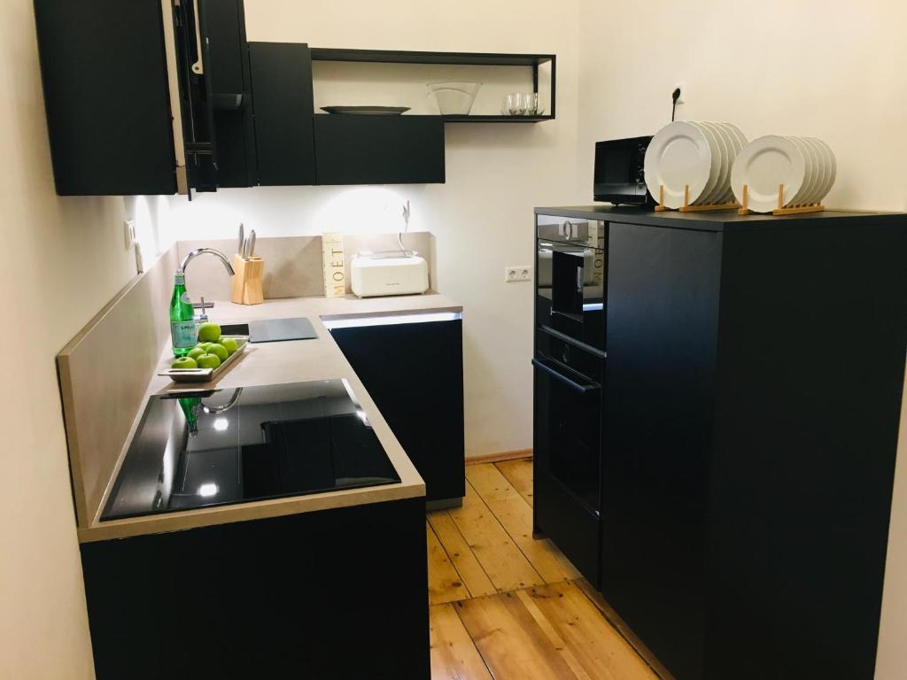 Kuchyň nebo kuchyňský kout v ubytování Villa Gutenberg Residenz