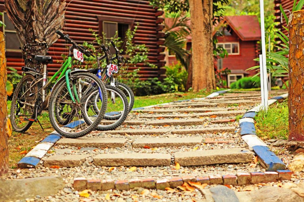 Jízda na kole v ubytování Master Bear Resort nebo okolí