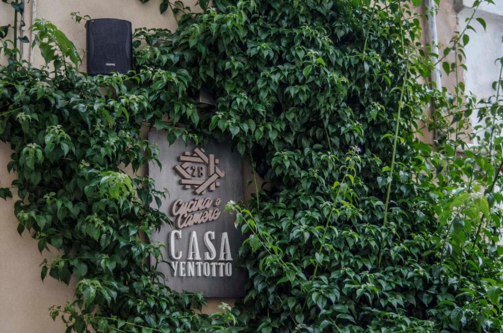 Ogród w obiekcie Casa 28