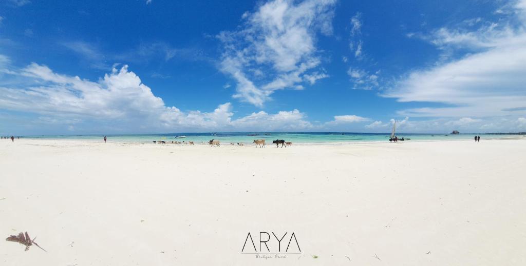 un groupe de personnes sur une plage blanche dans l'établissement ARYA Boutique Resort, à Kiwengwa