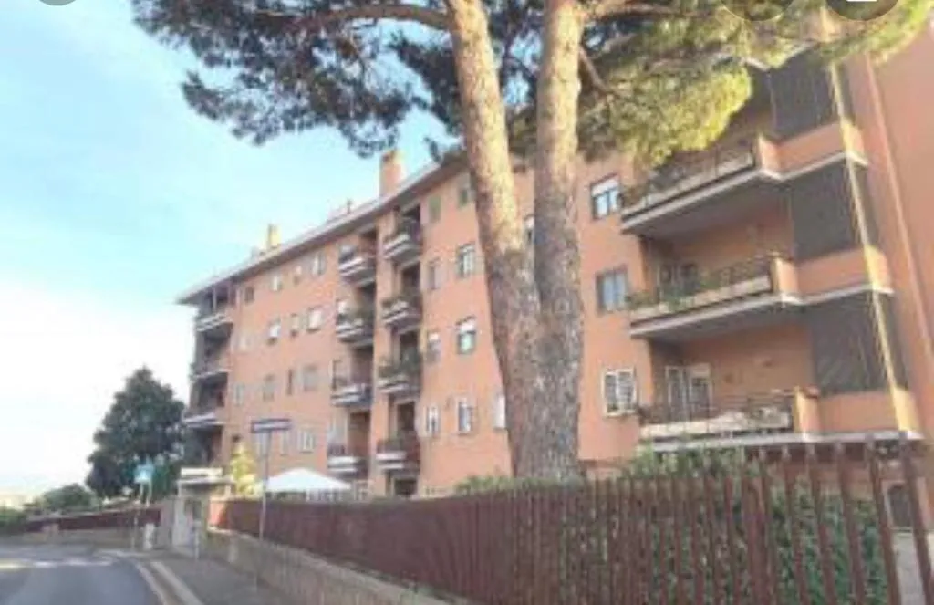 faraona Roma, Roma, Italia
