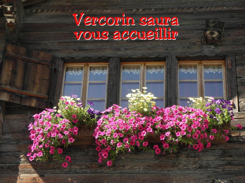 Fotografie z fotogalerie ubytování La Montagnette, VERCORIN v destinaci Vercorin