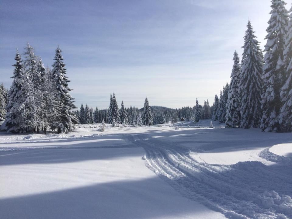 Apartment Ski Sara Pokljuka v zimě