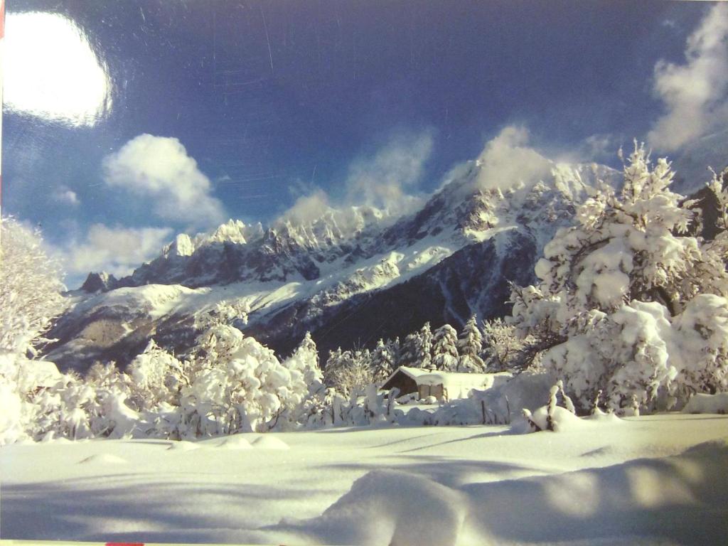 ein schneebedeckter Berg mit Bäumen und einem Haus in der Unterkunft Chalet Le Marmouzet in Les Houches