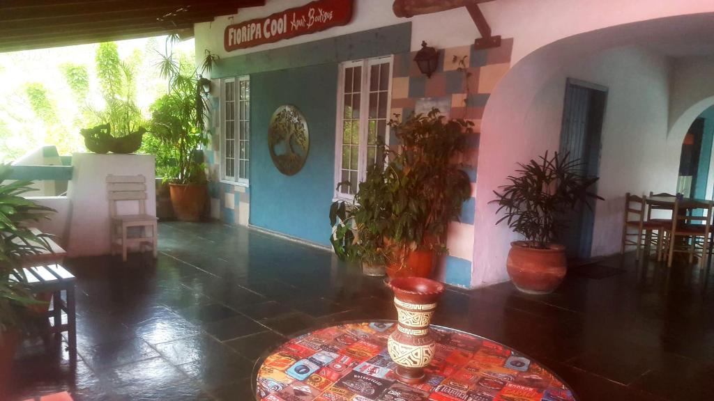  Apart Boutique Floripa Cool