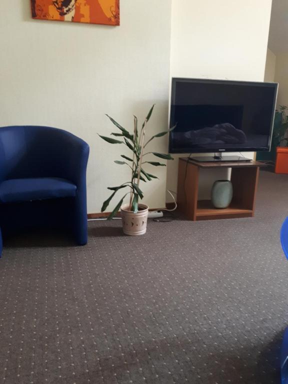 a living room with a tv and a potted plant at Valentina's Rooms in Vilnius