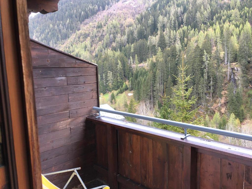 Příroda nedaleko hotelu