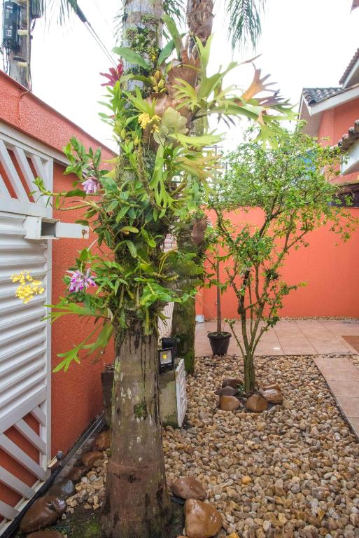 Casa ao lado do Sesc Bertioga