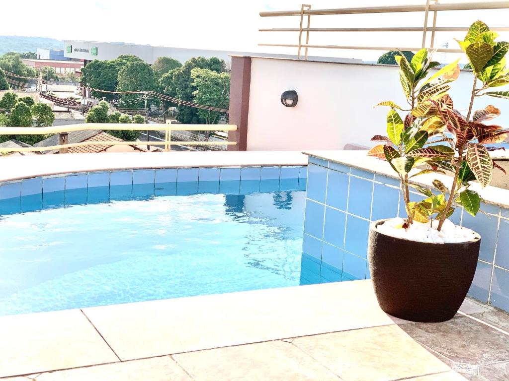 uma piscina com uma planta ao lado de um edifício em SAMIR HOTEL COMFORT em Porto Velho