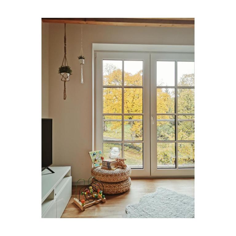 TV a/nebo společenská místnost v ubytování Apartmán v podkroví