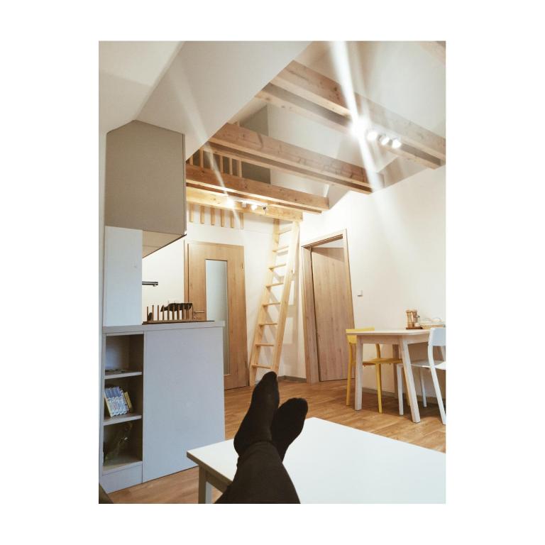 Kuchyň nebo kuchyňský kout v ubytování Apartmán v podkroví