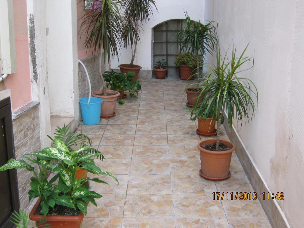 Zdjęcie z galerii obiektu Sicily Sun w mieście Lentini