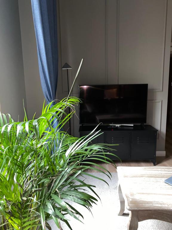 TV a/nebo společenská místnost v ubytování Apartamenty Nova 22