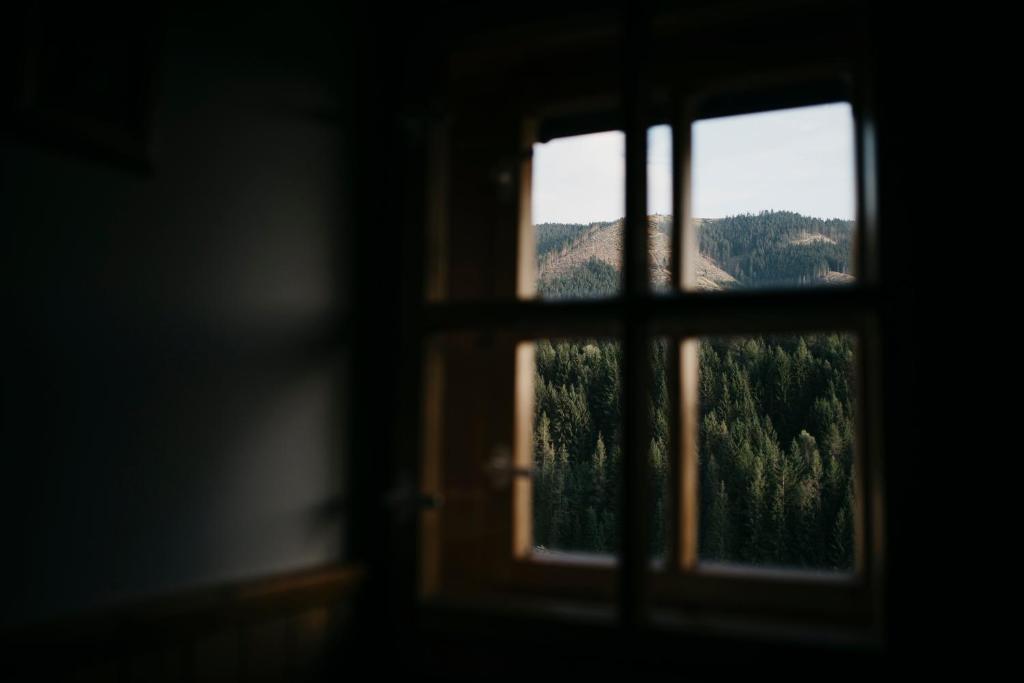 Príroda v okolí horskej chaty