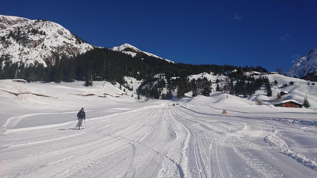 Bergbauernhof Pabulariu v zime