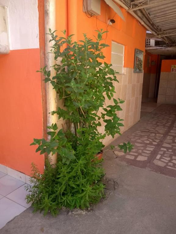  Pousada Vitoria