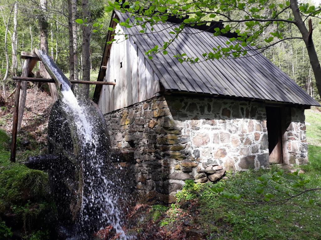 Příroda nedaleko apartmánu