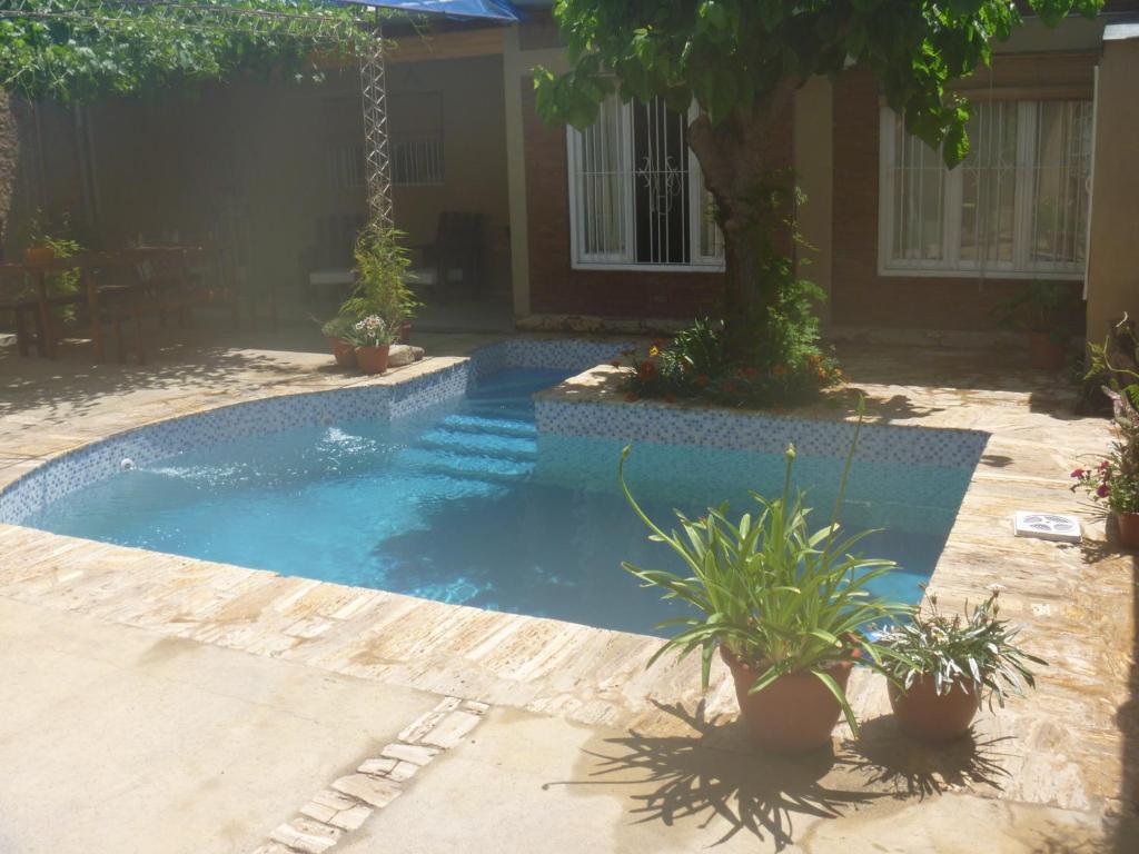 a swimming pool in a yard with potted plants at Alquiler para turistas in San Rafael