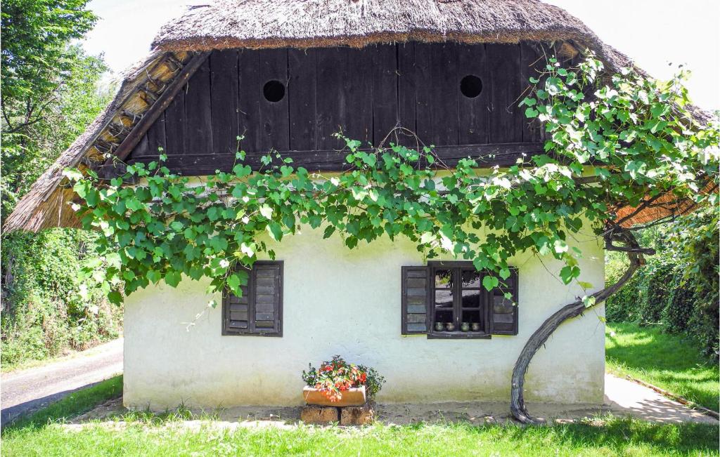 a house with a thatched roof with a plant at Stunning Home In St, Martin A,d, Raab With 1 Bedrooms in Neumarkt an der Raab