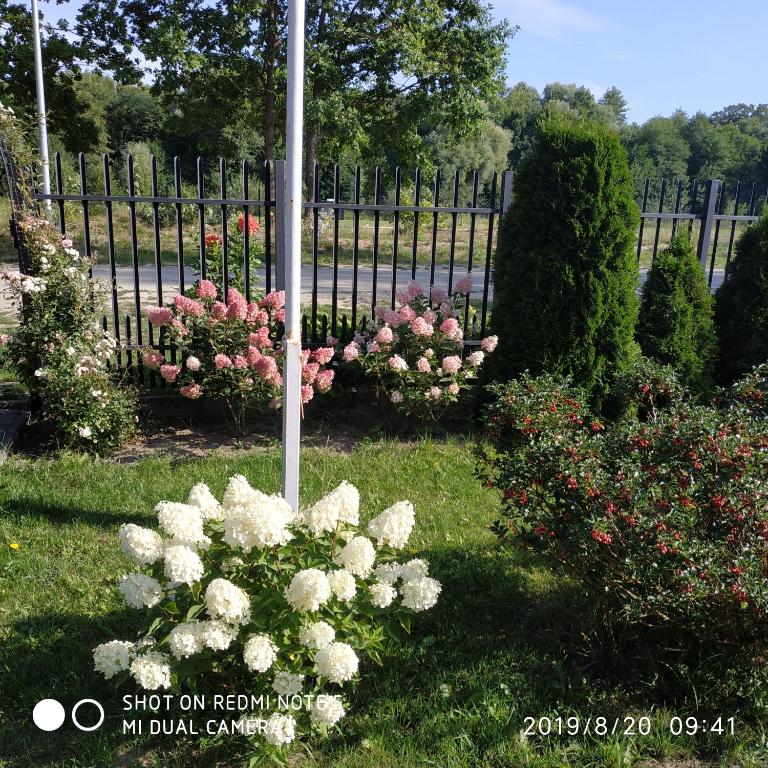 Pokoje gościnne 