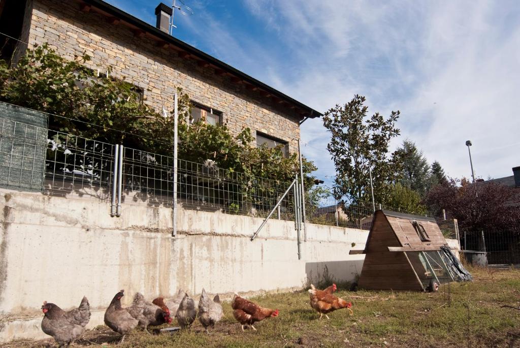 Fotografie z fotogalerie ubytování Can Congost v destinaci Sort