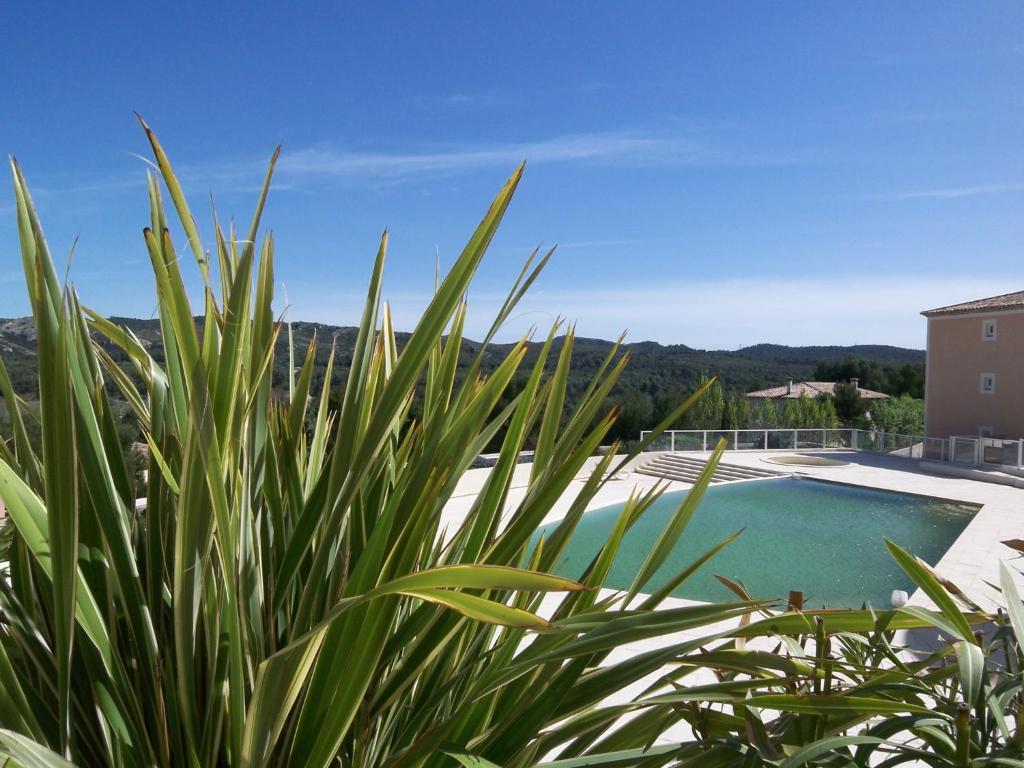 馬勒莫爾的住宿－Le Cigalou，享有游泳池和一些植物的景色