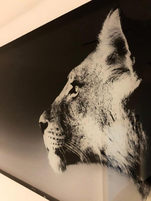 Deluxe Design - City Center Cosy Apartments - 6