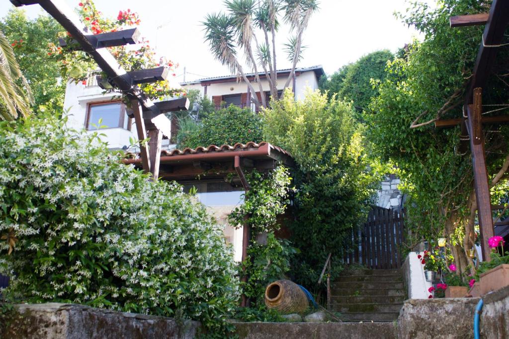 une maison avec un escalier orné de plantes et de fleurs dans l'établissement Panagopoulos House, à Agios Ioannis