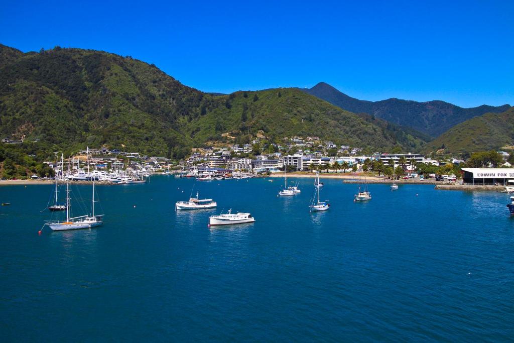 Picton Accommodation Gateway Motel - Resim 26