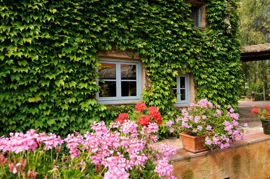 Zahrada ubytování Hotel Mas La Boella